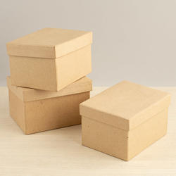 Paper Mache Rectangular Boxes