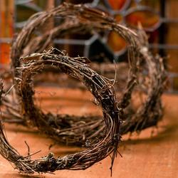 Dried Natural Grapevine Twig Garland