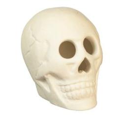 Dollhouse Miniature Halloween Skull