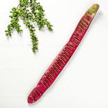 Artificial Eastern Red Bud Pea Pod Stem