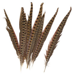 Natural Pheasant Feathers (12-14 inches)