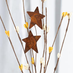 Artificial Berry and Rusted Star Pick