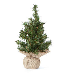 Bulk Case of 60 Small Artificial Pine Trees with Burlap Bases