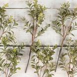 Gold Glittered Christmas Artificial Boxwood Stems