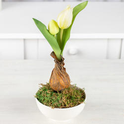 Artificial White Tulip Spray With Bulb