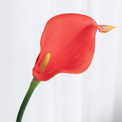 Artificial Ruby Red Calla Lily Stem