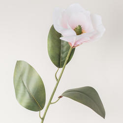 Magnolia Stem in Cream and Pink