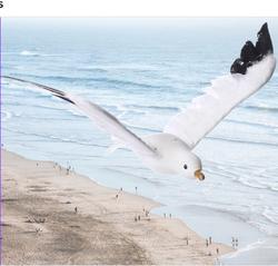 Artificial Flying Seagull