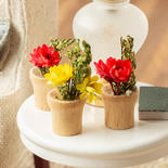 Dollhouse Miniature Potted Flowers Set