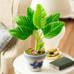 Miniature Potted Palm Tree Plant