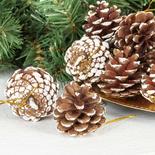 Frosted Natural Pinecones Ornaments
