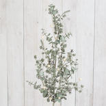 Frosted Eucalyptus, Pinecone and White Berry Spray