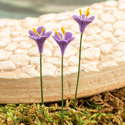 Miniature Purple Easter Lily Stems