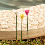 Set of Miniature Flower Picks