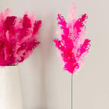 Pink Curly Feather Sprays