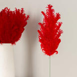 Red Curly Feather Sprays