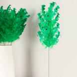 Green Curly Feather Sprays