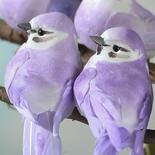 Purple Natural Feather Mushroom Bird