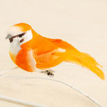 Orange Natural Feather Mushroom Bird