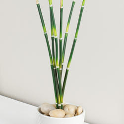 Tropical Artificial Lucky Bamboo Reed Stalks