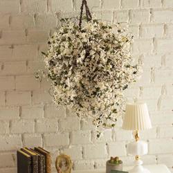 Miniature Hanging Basket of Tiny White Flowers