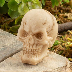 Miniature Resin Skull