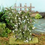 Miniature Flocked White Roses on a Trellis