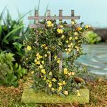 Miniature Flocked Yellow Roses on a Trellis