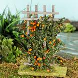 Miniature Flocked Orange Roses on a Trellis