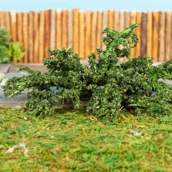 Miniature Juniper Greenery Bush