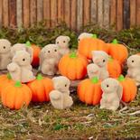 Miniature Flocked Squirrels and Fall Pumpkins