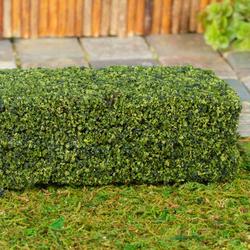 Miniature Greenery Hedge