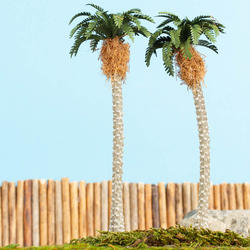 Miniature Tropical Palm Trees