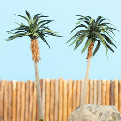 Miniature Tropical Palm Trees