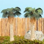 Miniature Tropical Mediterranean Windmill Fan Palm Trees