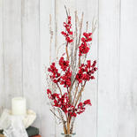Snowy Twig Red Berry Bush