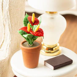 Miniature Anthurium in a Clay Pot
