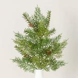 Weatherproof Cypress Pine Spray