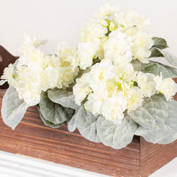Cream Artificial African Violet Bushes