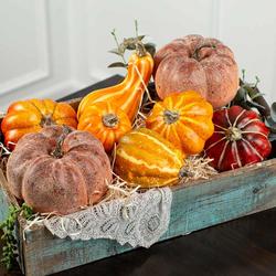 Artificial Orange and Red Pumpkins and Gourds