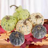 Assorted Faux Cream Green Pumpkins Gourds and Maple Leaves
