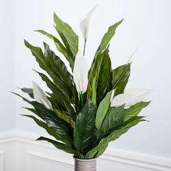 White Artificial Spathiphyllum and Peace Lily Bush