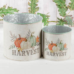 Harvest Tin Buckets Set