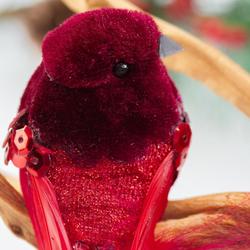 Red Velvet Feathered Bird