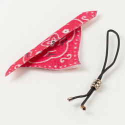 Miniature Red Worn-Look Bandana and Bolo Tie Set