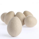 Direct Wholesale Case of Paper Mache Eggs