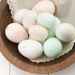 Pastel Artificial Eggs