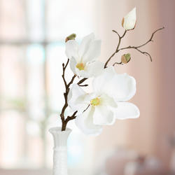 Cream White Silk Magnolia Branch