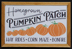 Homegrown Pumpkin Patch Picture, Oak