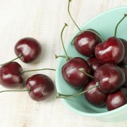 Direct Wholesale Artificial Realistic Bing Cherries